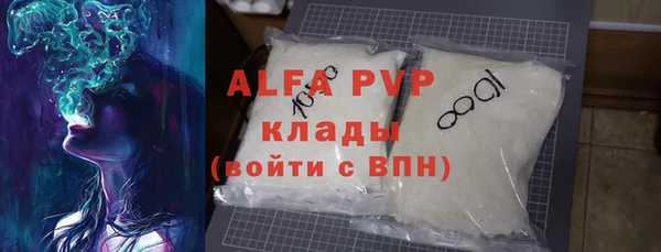 индика Алексин