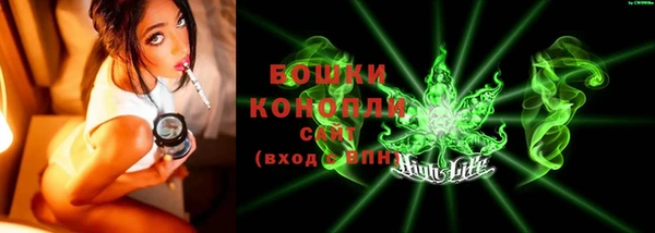 ПСИЛОЦИБИНОВЫЕ ГРИБЫ Алзамай