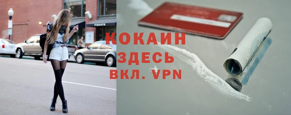 индика Алексин
