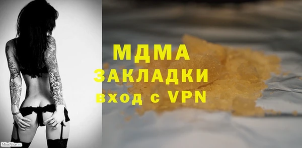 индика Алексин