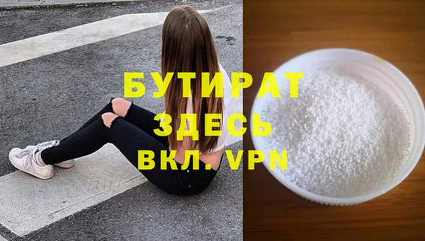 индика Алексин