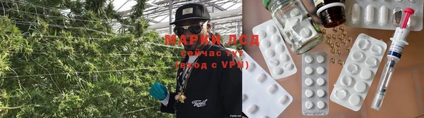 ПСИЛОЦИБИНОВЫЕ ГРИБЫ Алзамай